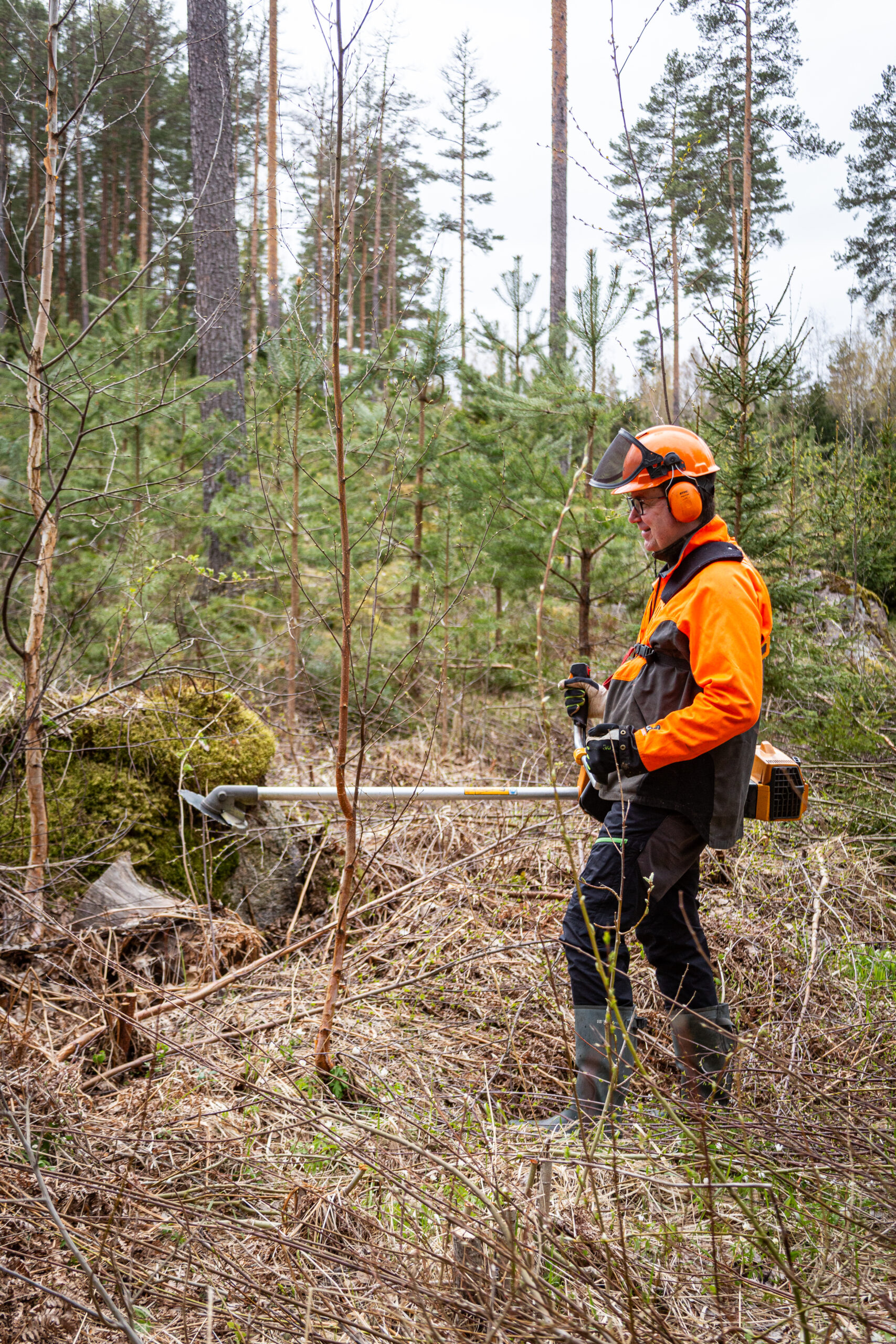 A man in bright orange safety gear holding a clearing saw in the woods.