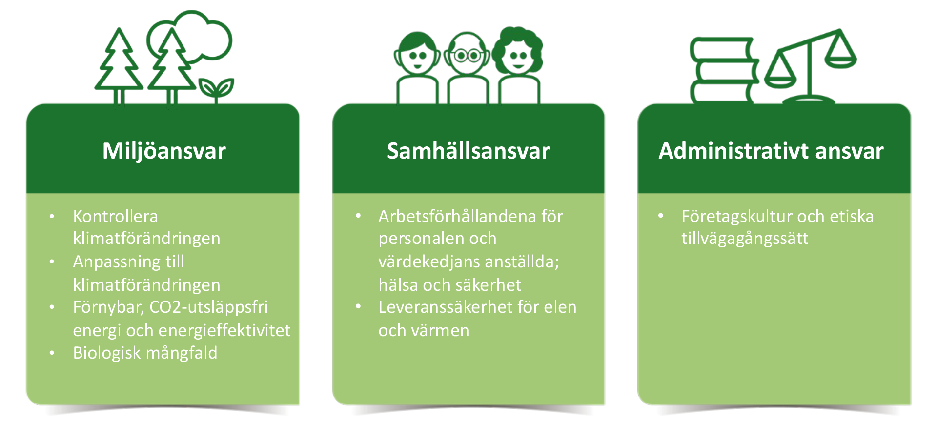 Tyngdpunkterna för ansvarsfullt